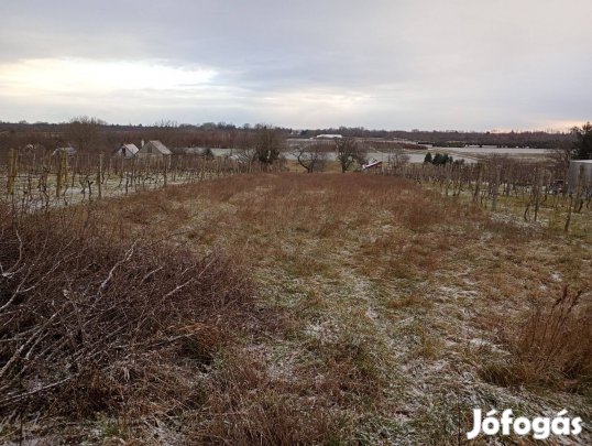 Gencsapáti külterületi telek