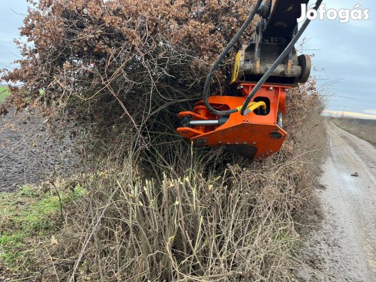 Gépi fa, bokor, cserje kivágás, tuskó kiszedés