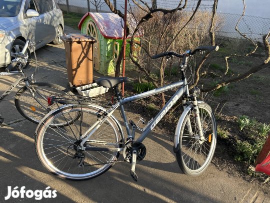 Gepida Alboin 200 férfi trekking