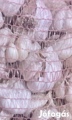 Gerezdhibás fokhagyma