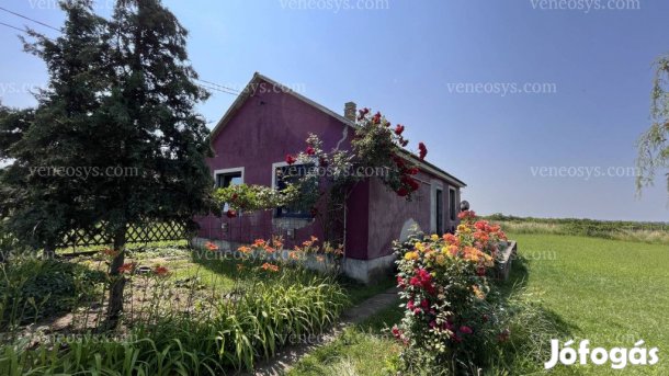 Gesztely településen csendes, forgalomtól mentes kis utcában kínálom