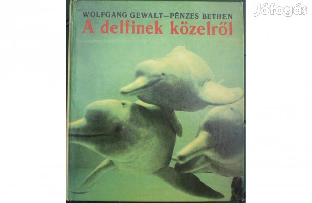 Gewalt - Pénzes : A Delfinek Közelről