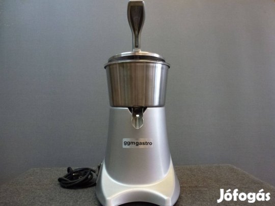 Ggm Gastro FSK 300 citrus prés