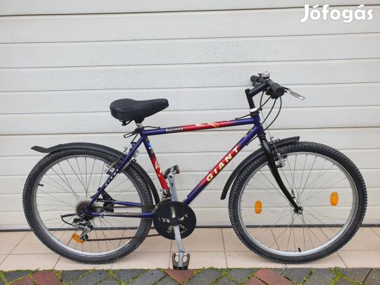 Giant I-guana Férfi kerékpár eladó (24)
