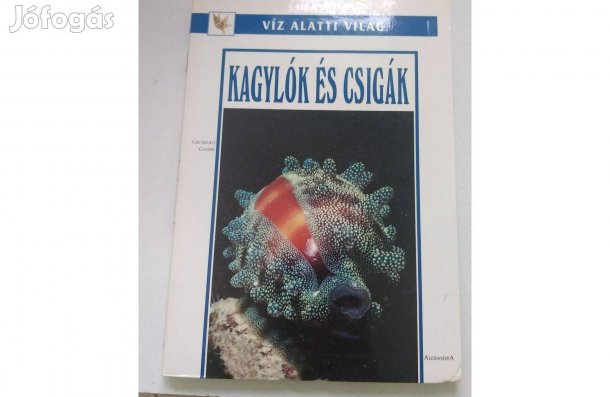 Giorgio Gabbi - Viz altti világ Kagylók és csigák