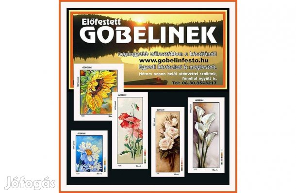 Gobelin festés fénykép alapján