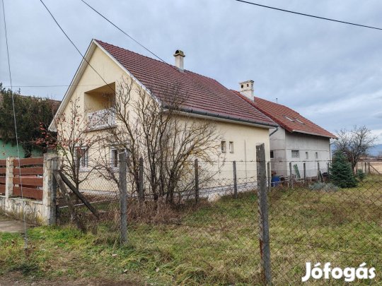 Göd Medalpin egészségközpont mellett 2 családi ház eladó 1 telken