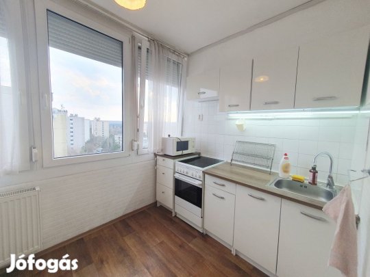 Gödöllő, Palota kert, 44 m2-es, társasházi lakás, 1 szobás, jó