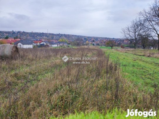 Gödöllői 9825 nm-es telek eladó