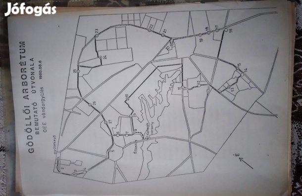 Gödöllői arborétumról régi tervek