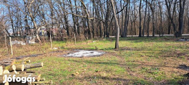 Gödöllőn eladó 1095nm szántó főút mellett 2 utcára nyílik