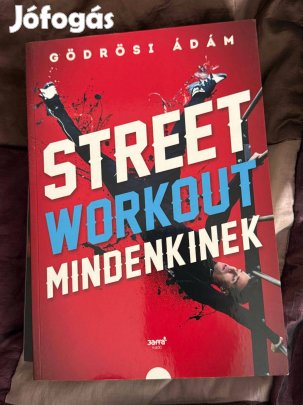 Gödrösi Ádám - Street workout mindenkinek