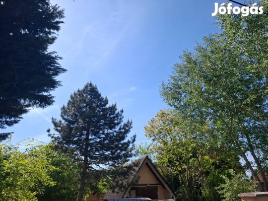 Gönyűn Alpesi Stílusú Kisház Az Erdőszélén Eladó!