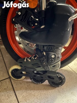 Görkorcsolya eladó