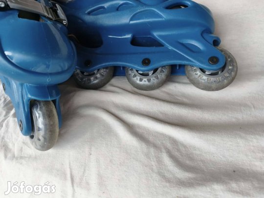 Görkorcsolya eladó