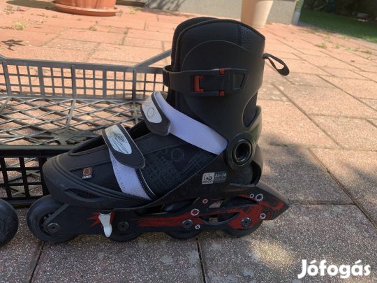 Görkorcsolya eladó !