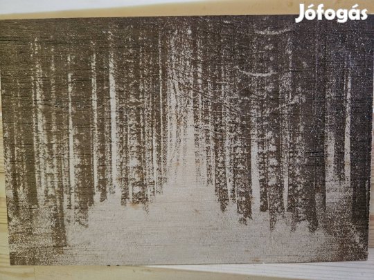 Gravírozott erdő fa kép