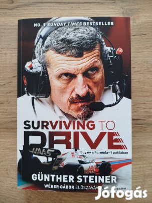 Günther Steiner Surviving to drive könyv