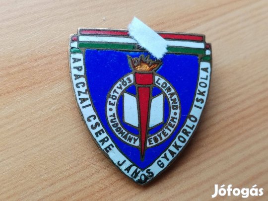 Gyakorló Iskola Apácai Csere János iskola jelvénye régi db
