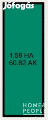 Gyálaréti szántó eladó! - Szeged