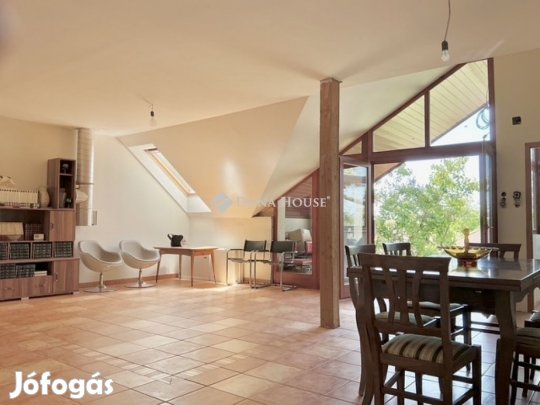 Gyáli eladó 264 nm-es ház