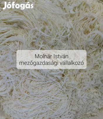 Gyalult káposzta eladó!