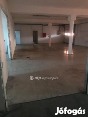 Gyarmati 1000 nm-es üzem eladó