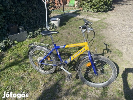 Gyerek 20-as bicikli kerékpár 5 sebesség 