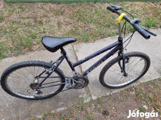 Gyerek fiú lány de felnőttnek is MTB 24-es kék kerékpár használt