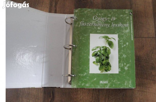 Gyógy és fűszernövény lexikon A-Z-ig