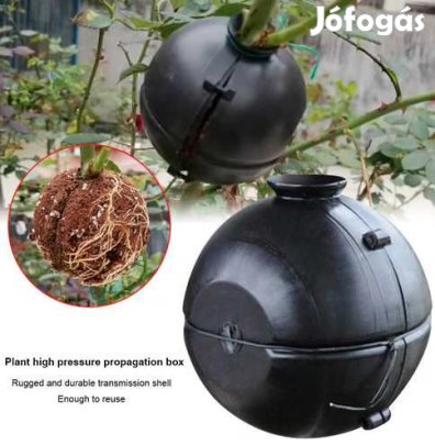 Gyökereztető Box (Growing box ) 12cm-es  (3663)