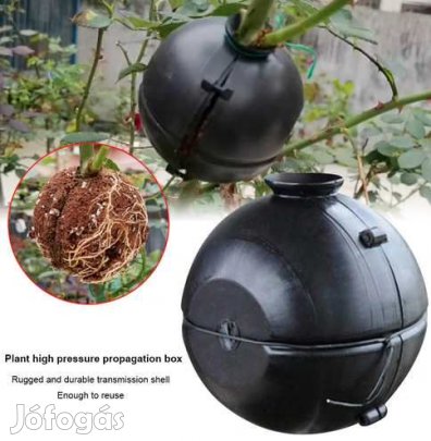 Gyökereztető Box (Growing box ) 8cm-es  (3593)