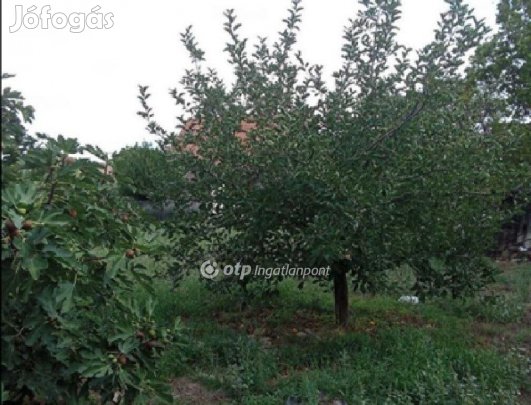 Gyomaendrődi eladó 620 nm-es telek