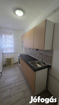 Gyöngyösi utcán 43 m2-es, 1+félszobás, bútorozatlan lakás kiadó
