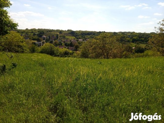 Gyönk örök panorámás részén 5072 nm telek eladó !