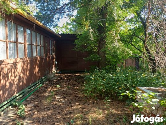 Gyönyörű, ősfás telek hangulatos faházzal!