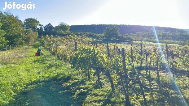 Gyönyörű birtok a Kishegyen