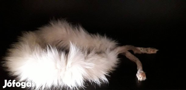 Gyönyörű eredeti sarki róka szőrme női sál / boa eladó!