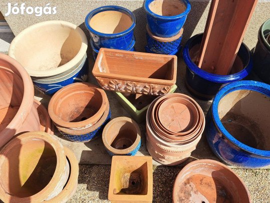 Gyönyörű kaspók egyben új kertjüket keresik