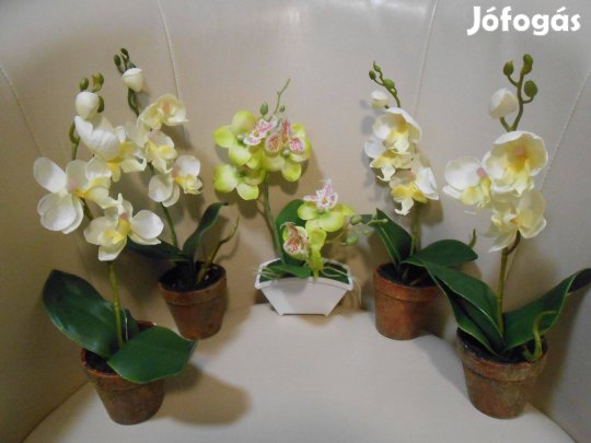 Gyönyörű mű orchidea,virág