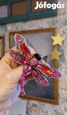 Gyönyörű szitakötő bross