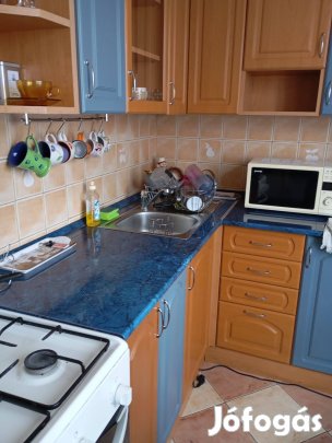 Győr-Belvárosában kiadó panellakás