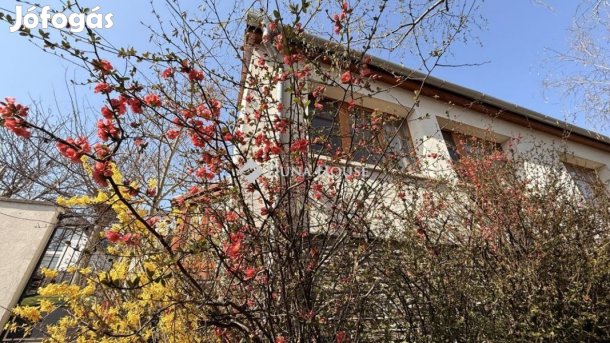 Győri 165 nm-es ház eladó
