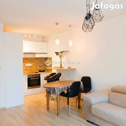 Győri 43 nm-es lakás kiadó