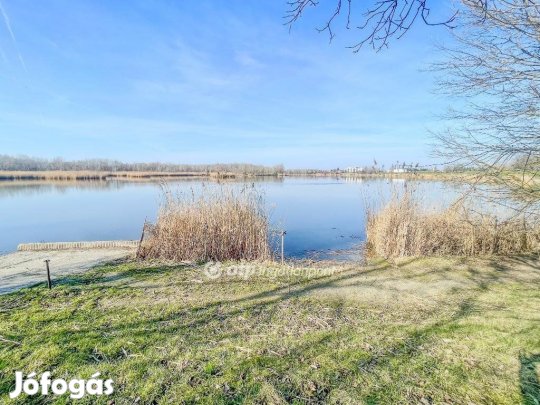 Győri 6100 nm-es telek eladó