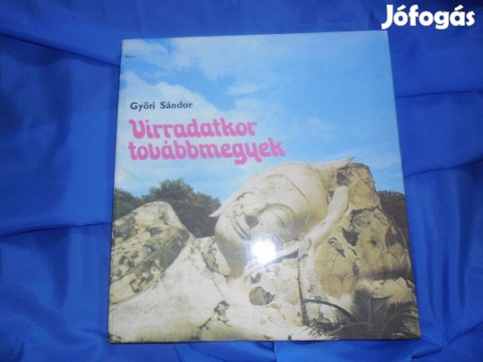 Győri Sándor: Virradatkor továbbmegyek