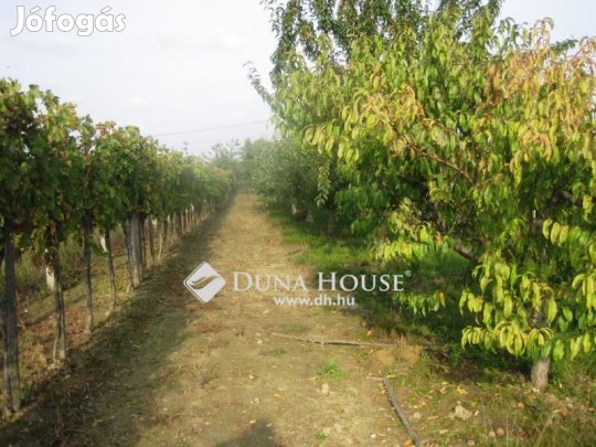 Győri eladó 2485 nm-es telek