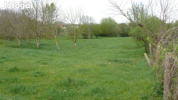 Győröcskén 11000nm-es belterületi telek eladó