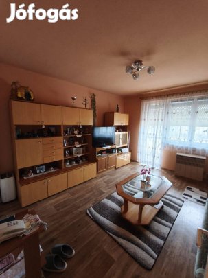 Gyorsan költözhető 2 szobás lakás Hatvan csendes részén