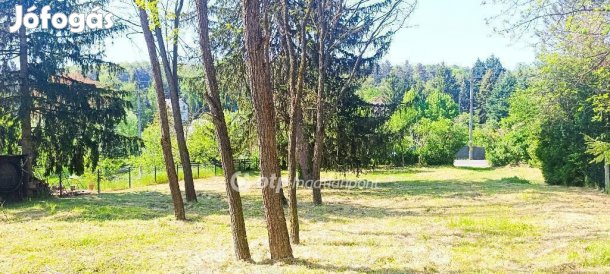 Győrújbaráti eladó 2472 nm-es telek